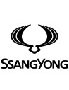 Ssang young